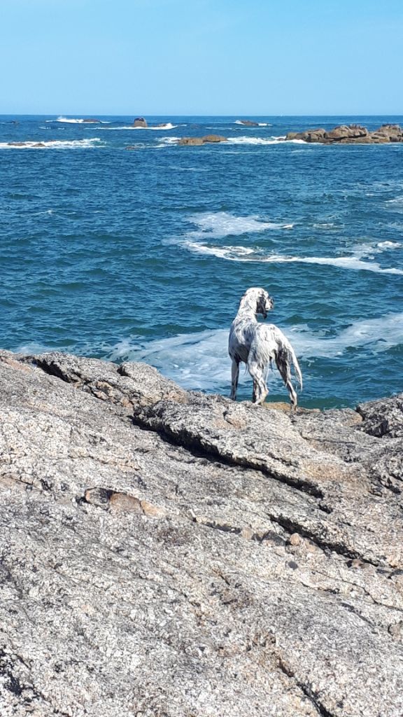 Pep's de l'anse du guillec